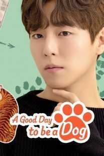 سریال کره‌ای A Good Day to be a Dog