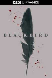 سریال Black Bird