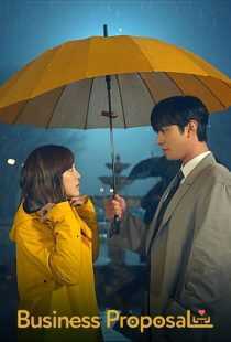 سریال کره ای A Business Proposal