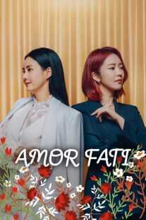 سریال کره ای Amoreupati