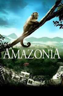 فیلم Amazon 2013