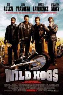 فیلم Wild Hogs 2007
