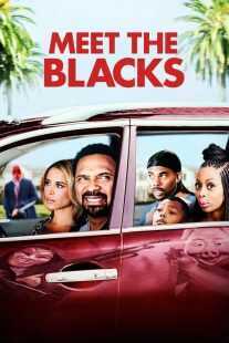 فیلم Meet the Blacks 2016
