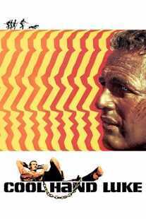 فیلم Cool Hand Luke 1967