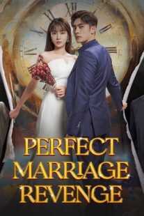 سریال Perfect Marriage Revenge