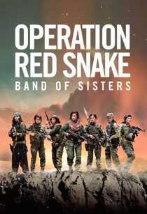 فیلم Sisters in Arms 2019