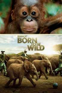 مستند Born to Be Wild 2011