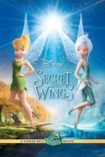 انیمیشن Secret of the Wings 2012