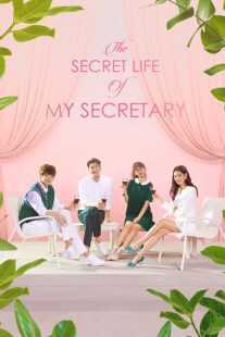 سریال کره‌ای The Secret Life of My Secretary