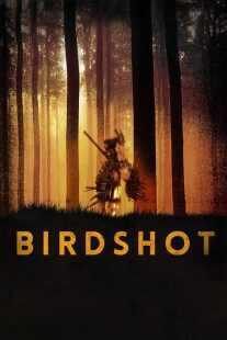 فیلم کره‌ای Birdshot 2016