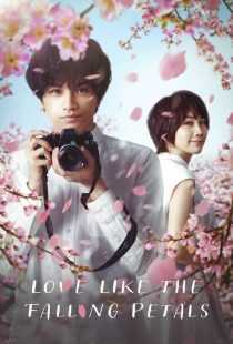 فیلم Love Like the Falling Petals 2022