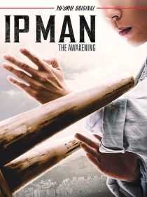 فیلم Ip Man: The Awakening 2022