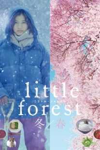 فیلم Little Forest: Winter/Spring 2015