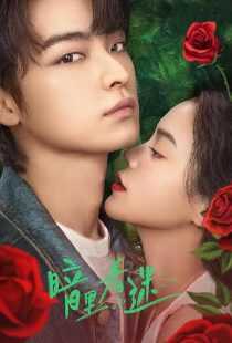 سریال چینی You Complete Me