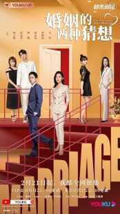 سریال Two Conjectures About Marriage