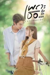 سریال A Love So Beautiful (Because You’re My First Love)