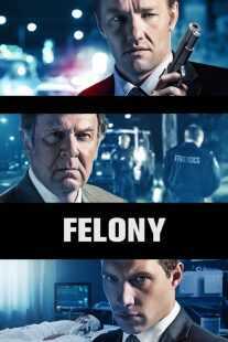 فیلم Felony 2013