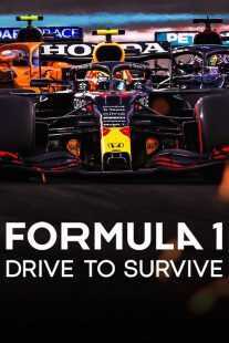 سریال Formula 1: Drive to Survive