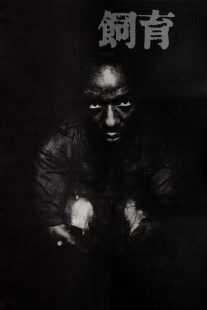 فیلم The Catch 1961