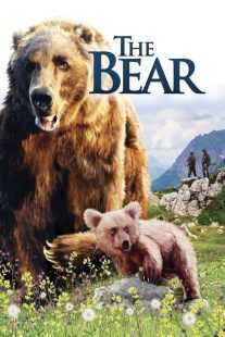 فیلم The Bear 1988
