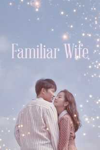 سریال کره ای Familiar Wife
