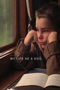 فیلم My Life as a Dog 1985