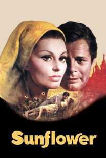 فیلم Sunflower 1970