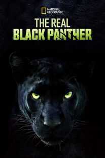 مستند The Real Black Panther 2020