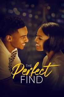 فیلم The Perfect Find 2023
