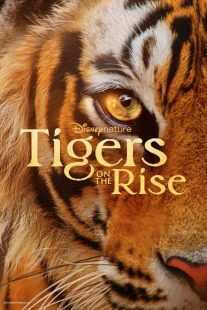 مستند Tigers on the Rise 2024
