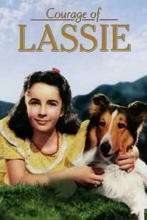 فیلم Courage of Lassie 1946