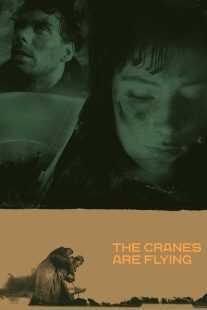 فیلم The Cranes Are Flying 1957