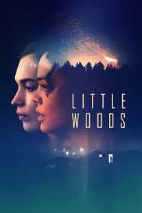 فیلم Little Woods 2018