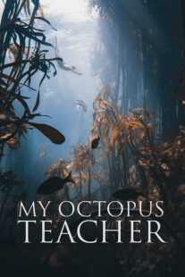 مستند My Octopus Teacher 2020