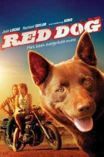 فیلم Red Dog 2011