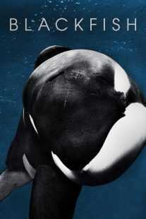 فیلم Blackfish 2013