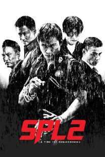 فیلم Kill Zone 2 2015