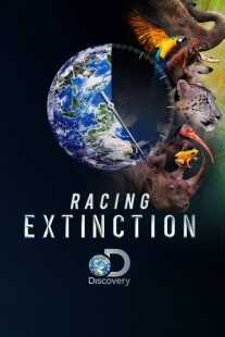 مستند Racing Extinction 2015