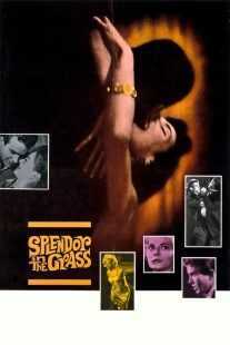 فیلم Splendor in the Grass 1961