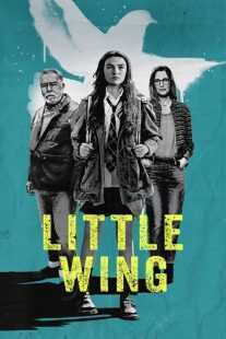 فیلم Little Wing 2024