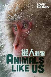 مستند Animals Like Us