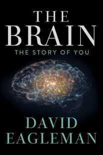 سریال The Brain with Dr. David Eagleman