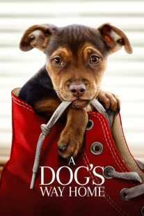 فیلم A Dog’s Way Home 2019