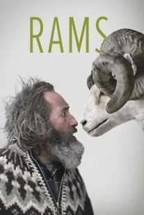 فیلم Rams 2015