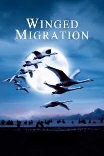 فیلم Winged Migration 2001