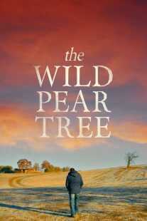 فیلم The Wild Pear Tree 2018