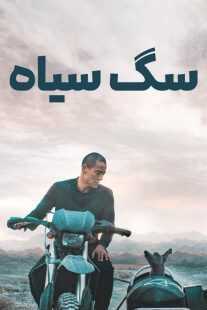 فیلم Black Dog 2024