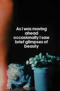 مستند As I Was Moving Ahead Occasionally I Saw Brief Glimpses of Beauty 2000
