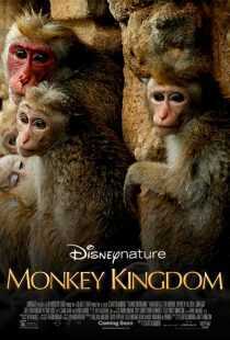 مستند Monkey Kingdom 2015