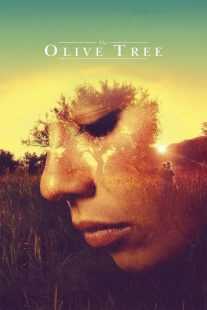 فیلم The Olive Tree 2016